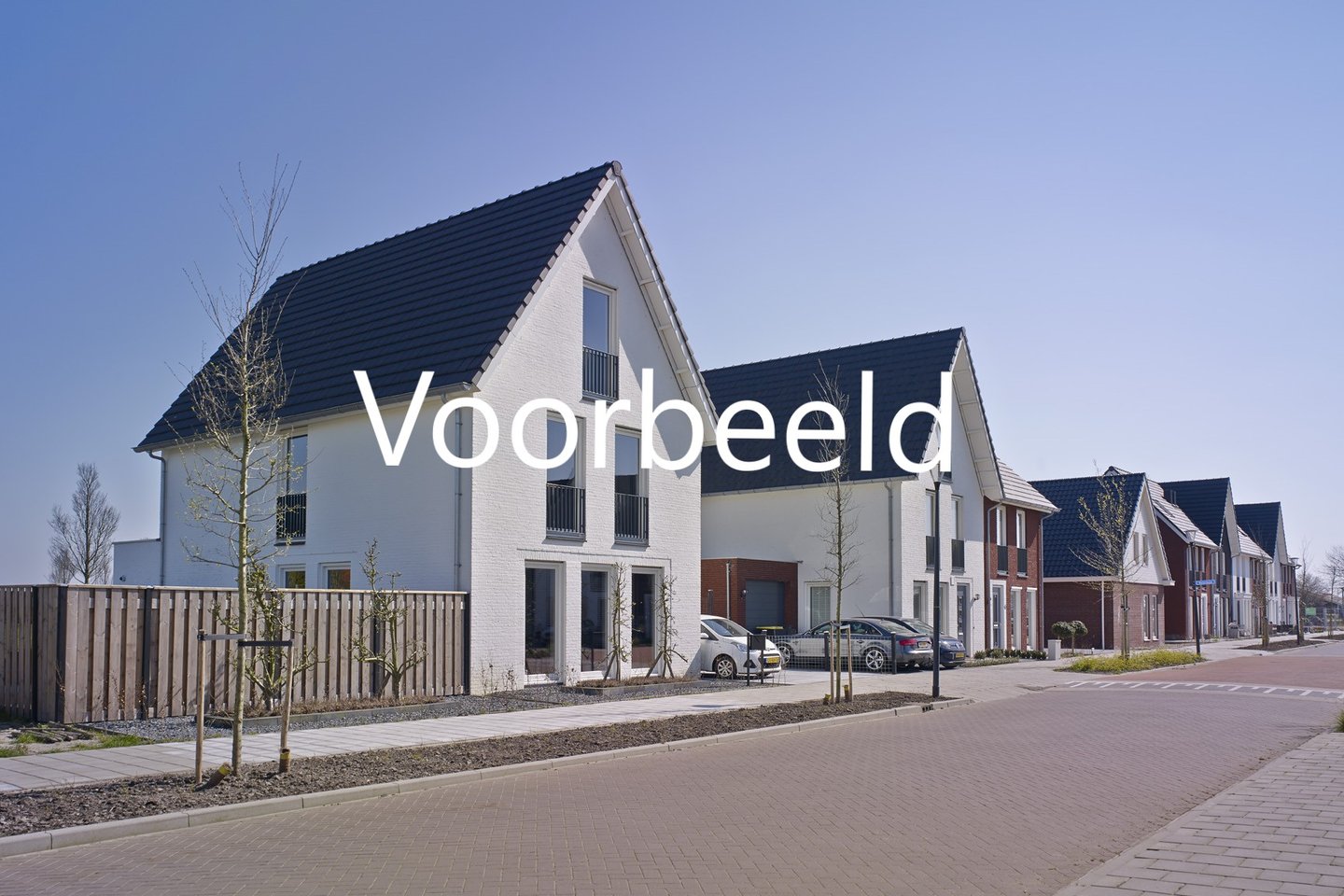 Bekijk foto 4 van Meerkoet 21