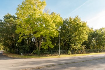 Bekijk foto's