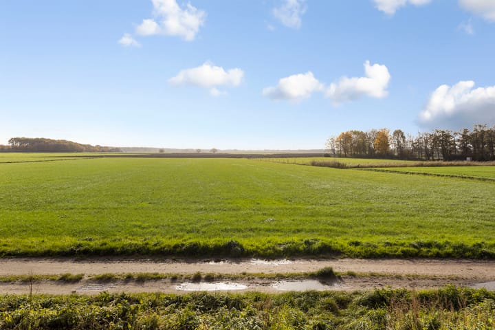 Foto 38 van Burgemeester van Gilshof 19