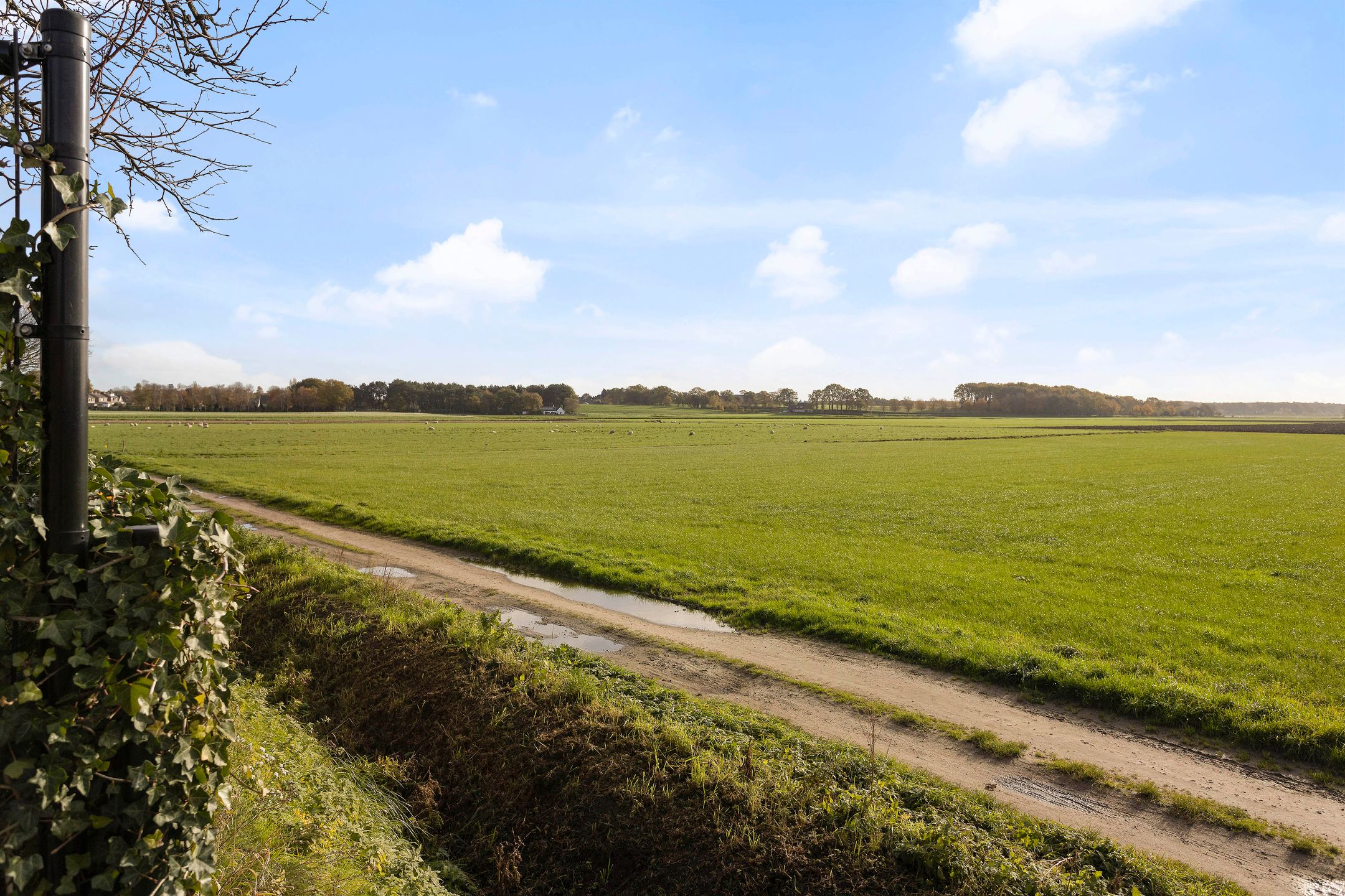 Foto 39 van Burgemeester van Gilshof 19