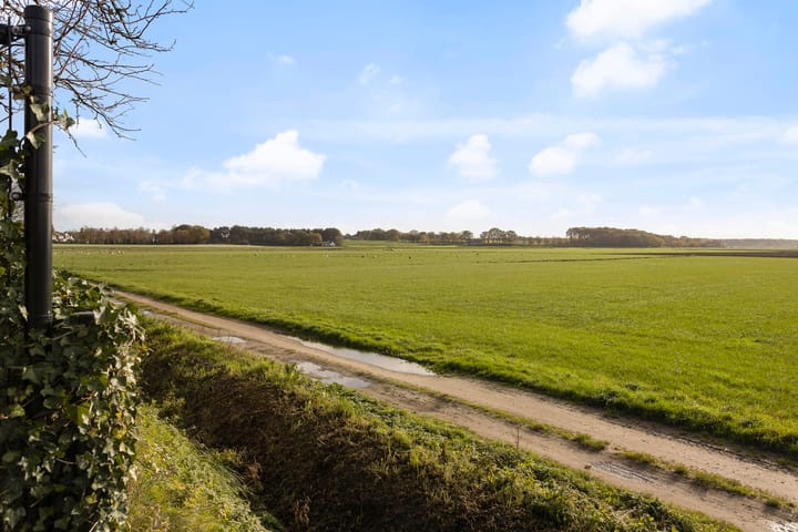 Foto 39 van Burgemeester van Gilshof 19