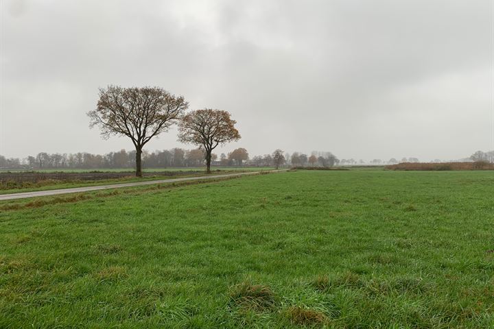 Bekijk foto 6 van Esweg