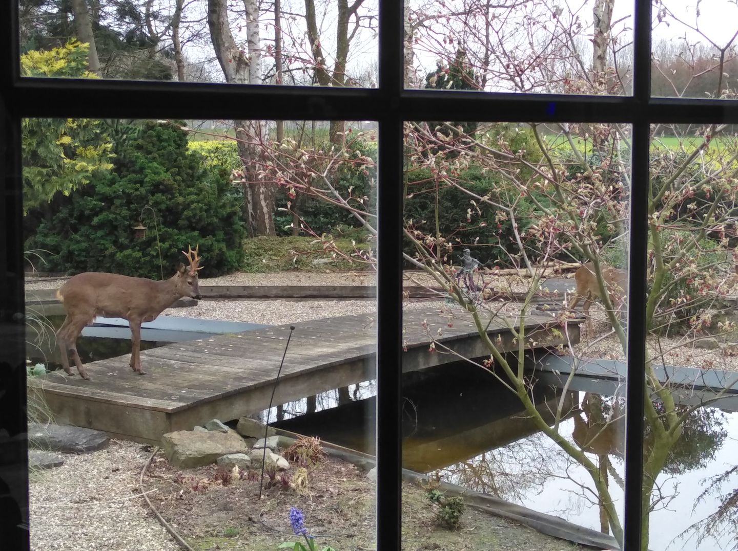 Foto 80 van Rode Sluisweg 9-A