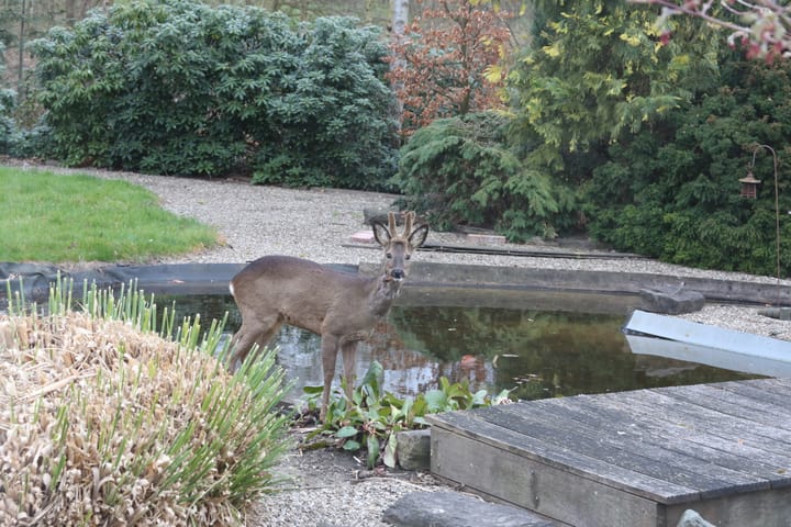 Foto 31 van Rode Sluisweg 9-A