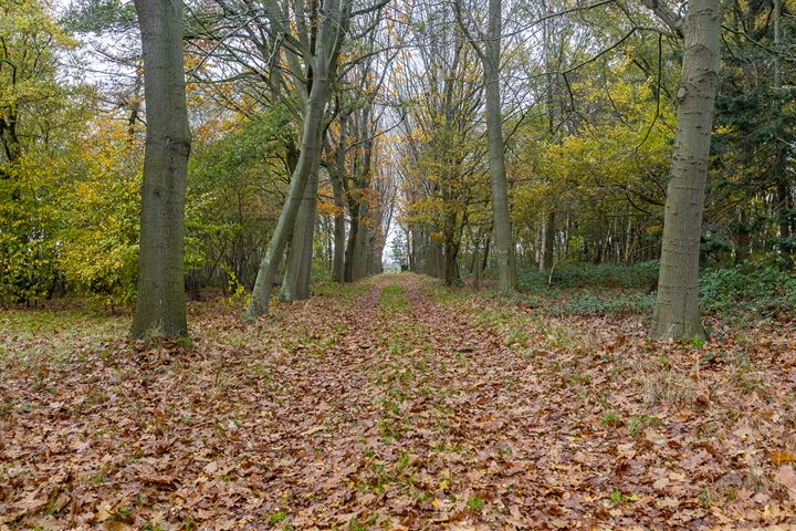 View photo 41 of Rode Sluisweg 9-A