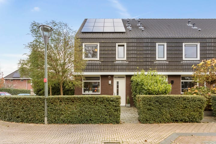 Foto 1 van Populier 36