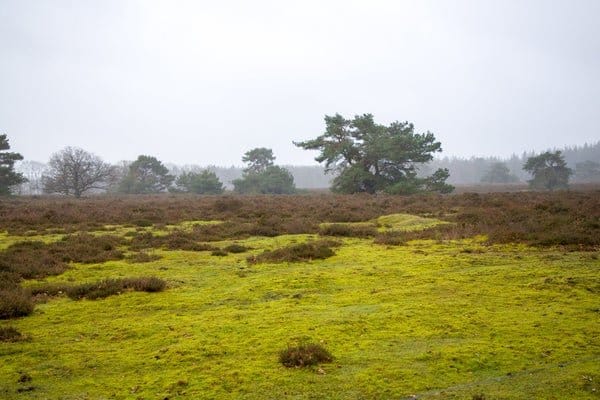 Photo 49 of Oranjekanaal NZ 10-0045