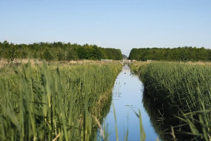 Bekijk foto 17 van Vrijstaande woning (Bouwnr. 28)