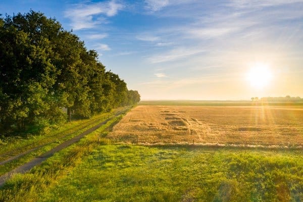 Foto 57 van Oranjekanaal NZ 10-0008