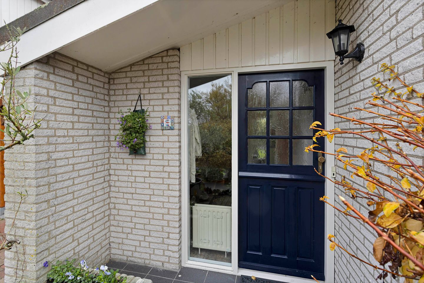 Foto 5 van Ostrea 102