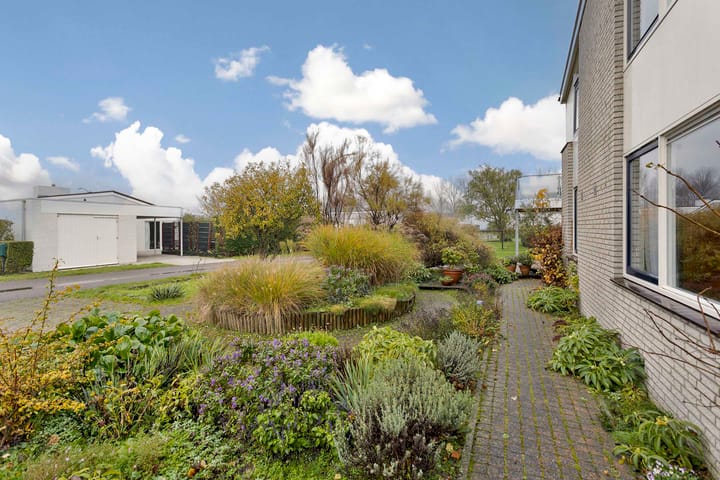 Foto 4 van Ostrea 102