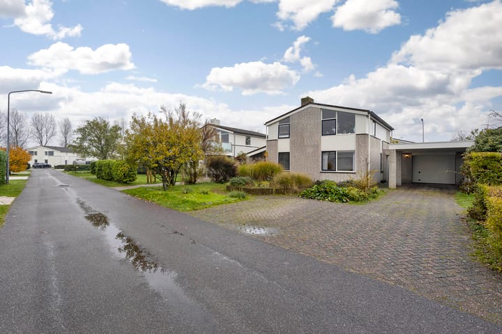 Foto 2 van Ostrea 102