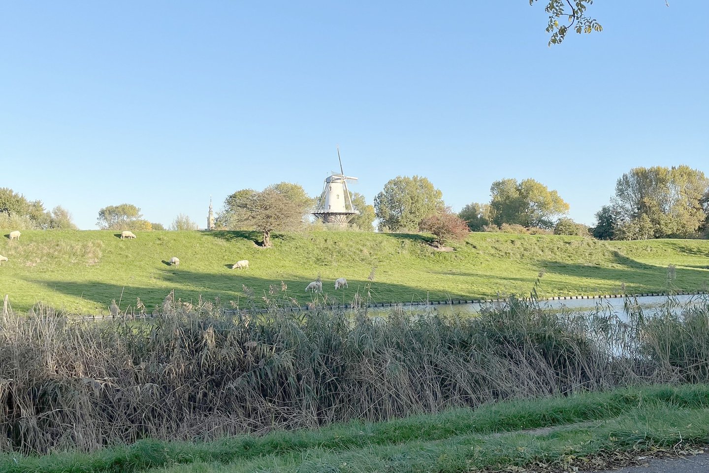 Bekijk foto 4 van Kievitenlaan 19 .