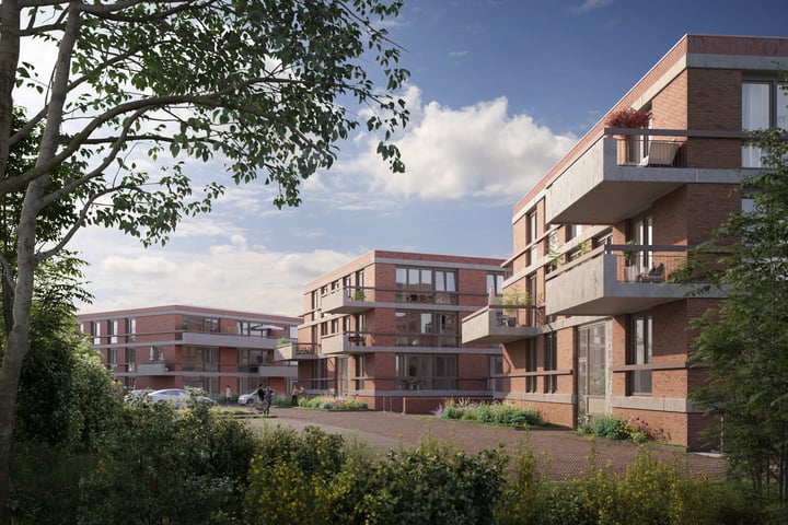 Drie Eiken - Oirschot