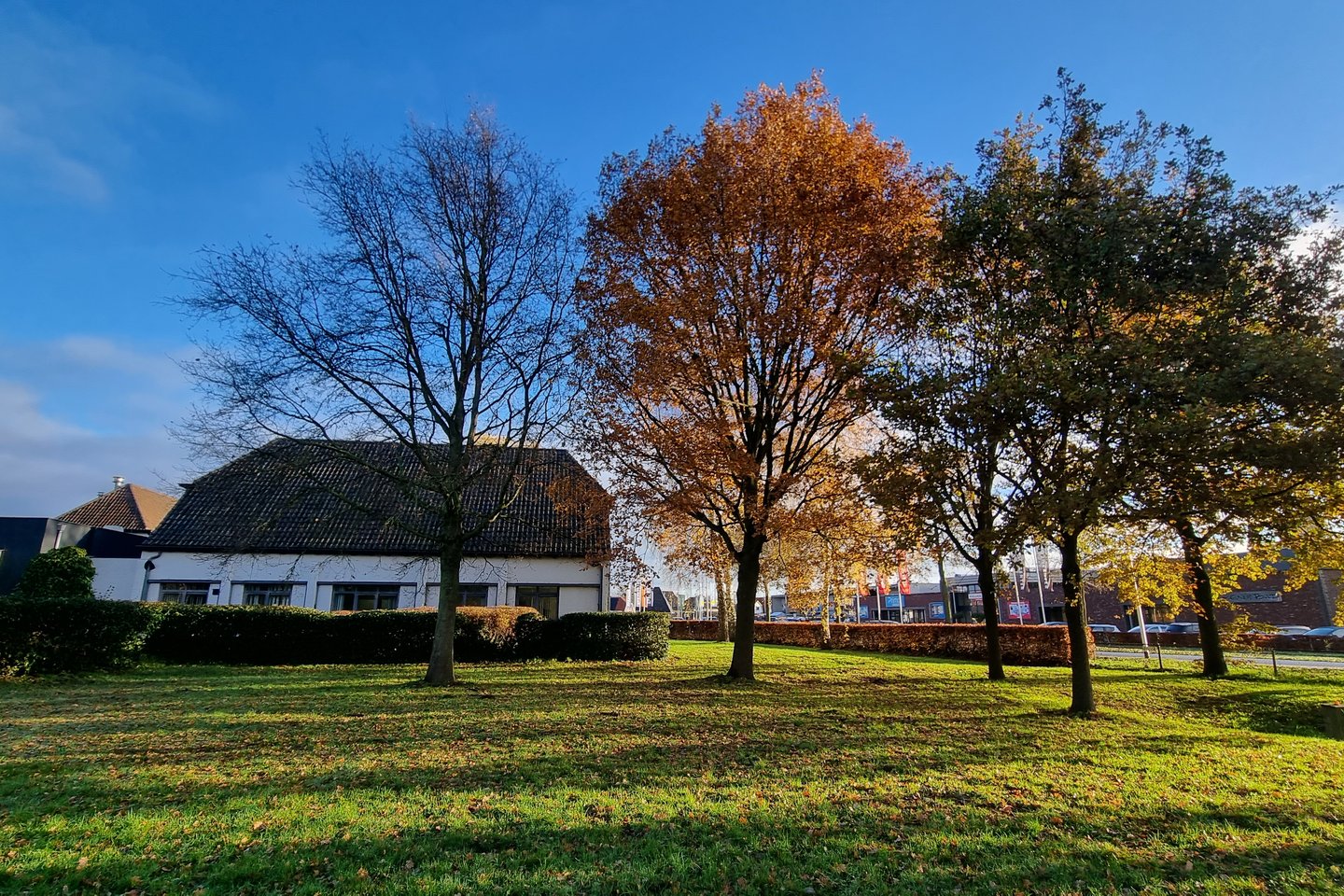 Bekijk foto 3 van Zomerdijk 8