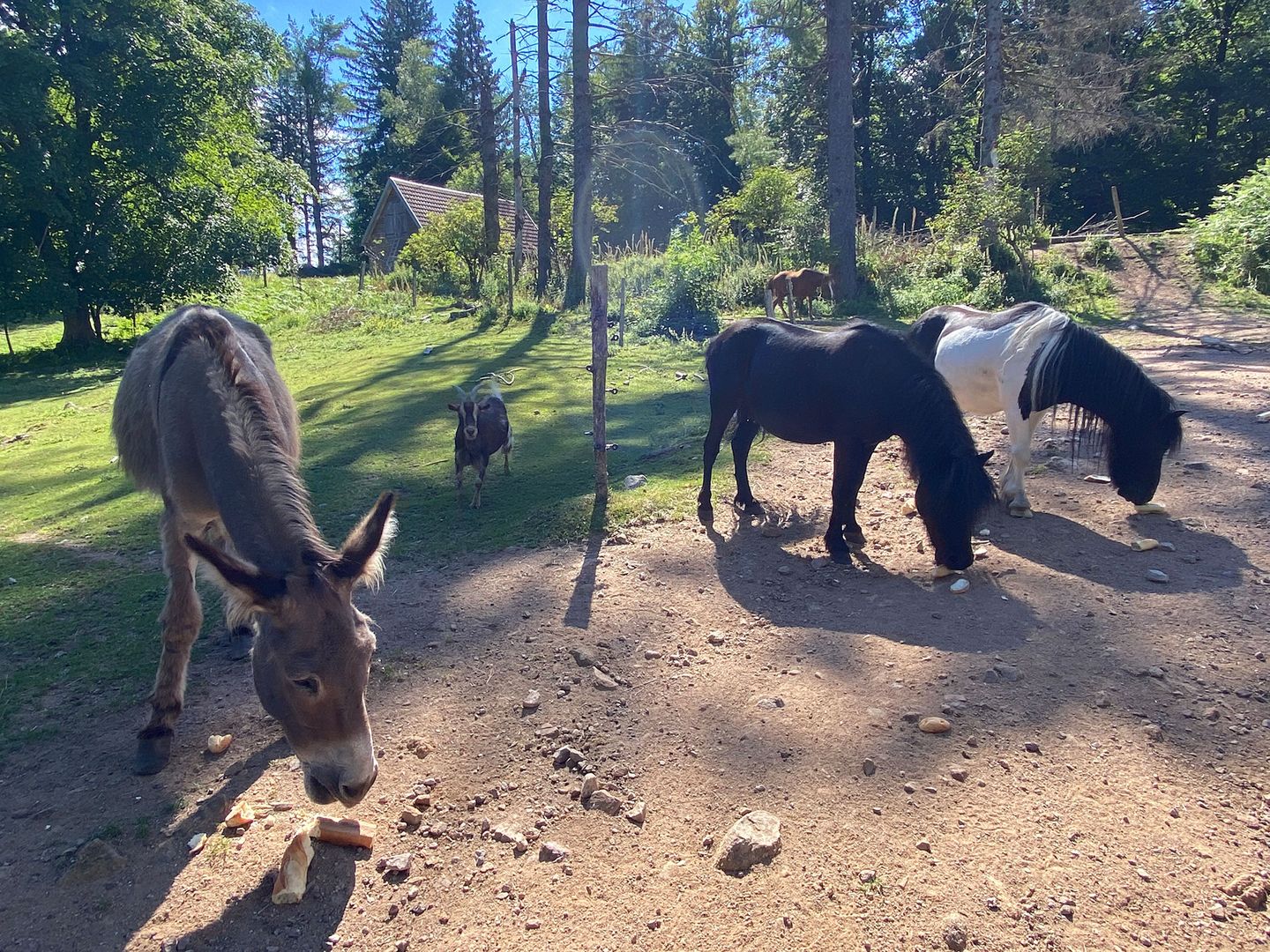 Photo 49 of La Haute Fourche