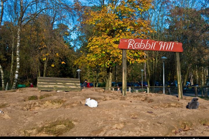 Bekijk foto 21 van Grevenhout 21-168