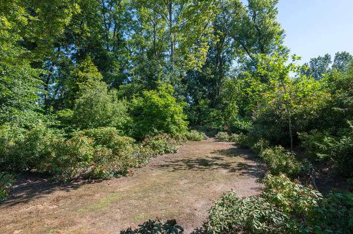 Foto 5 van Dr Ariënsstraat 1