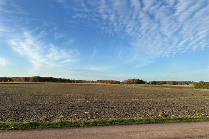 Bekijk foto 5 van Zandoerleseweg