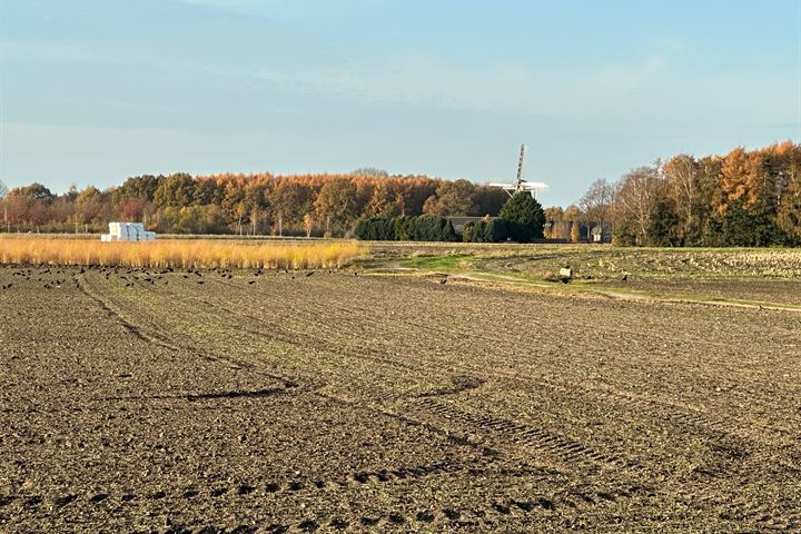 Bekijk foto 3 van Zandoerleseweg