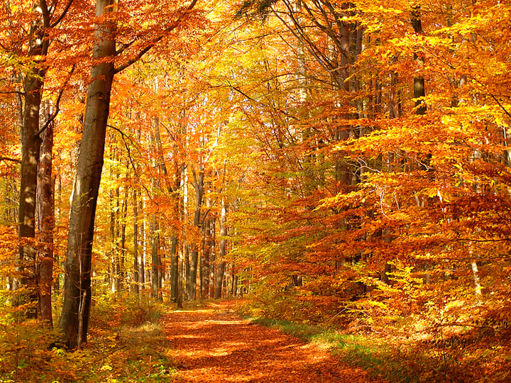 Foto 5 van Wulperveld kavel 34