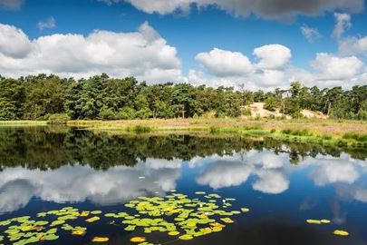 Bekijk foto 10 van Maaszicht (Bouwnr. 13)