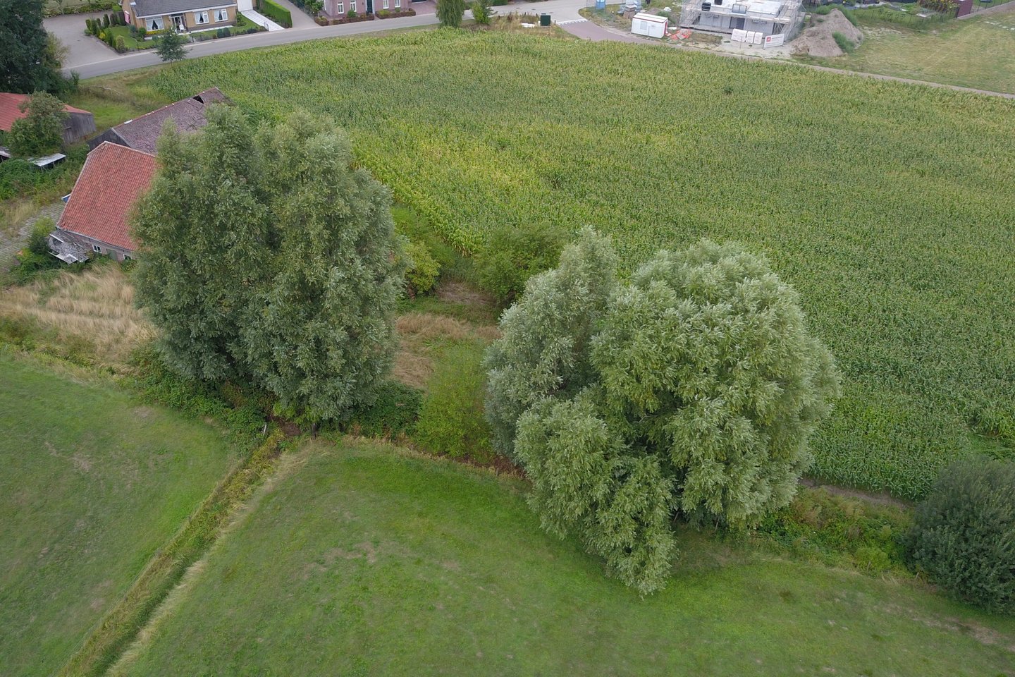 View photo 5 of Oudendijk