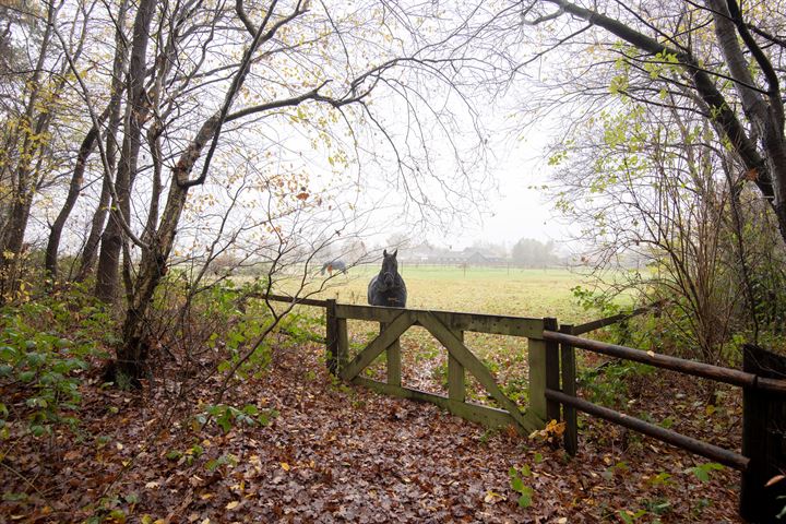 Bekijk foto 45 van Eerste Kruishaarseweg 3