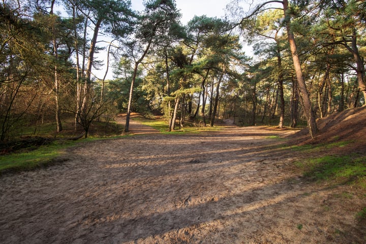 Bekijk foto 74 van Vijfsprongweg 50