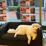 Cooper - Directeur