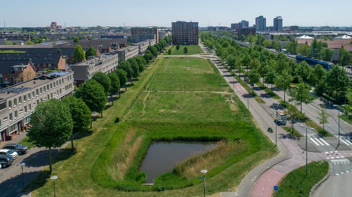 Foto 2 van Hagesteinstraat 47