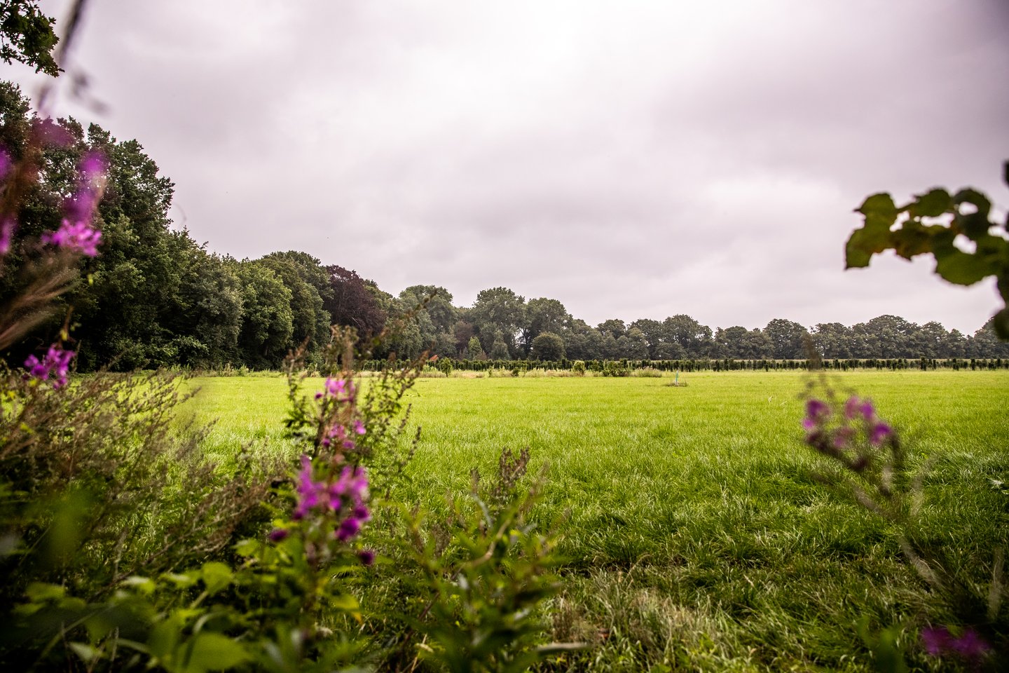 Bekijk foto 1 van Nabij Kasteellaan (Bouwnummer STE 46) (Bouwnr. 46)