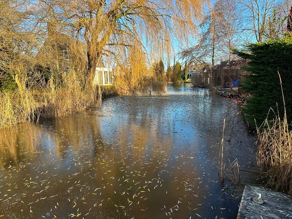 Bekijk foto 4 van Droge Wijmersweg 5 237