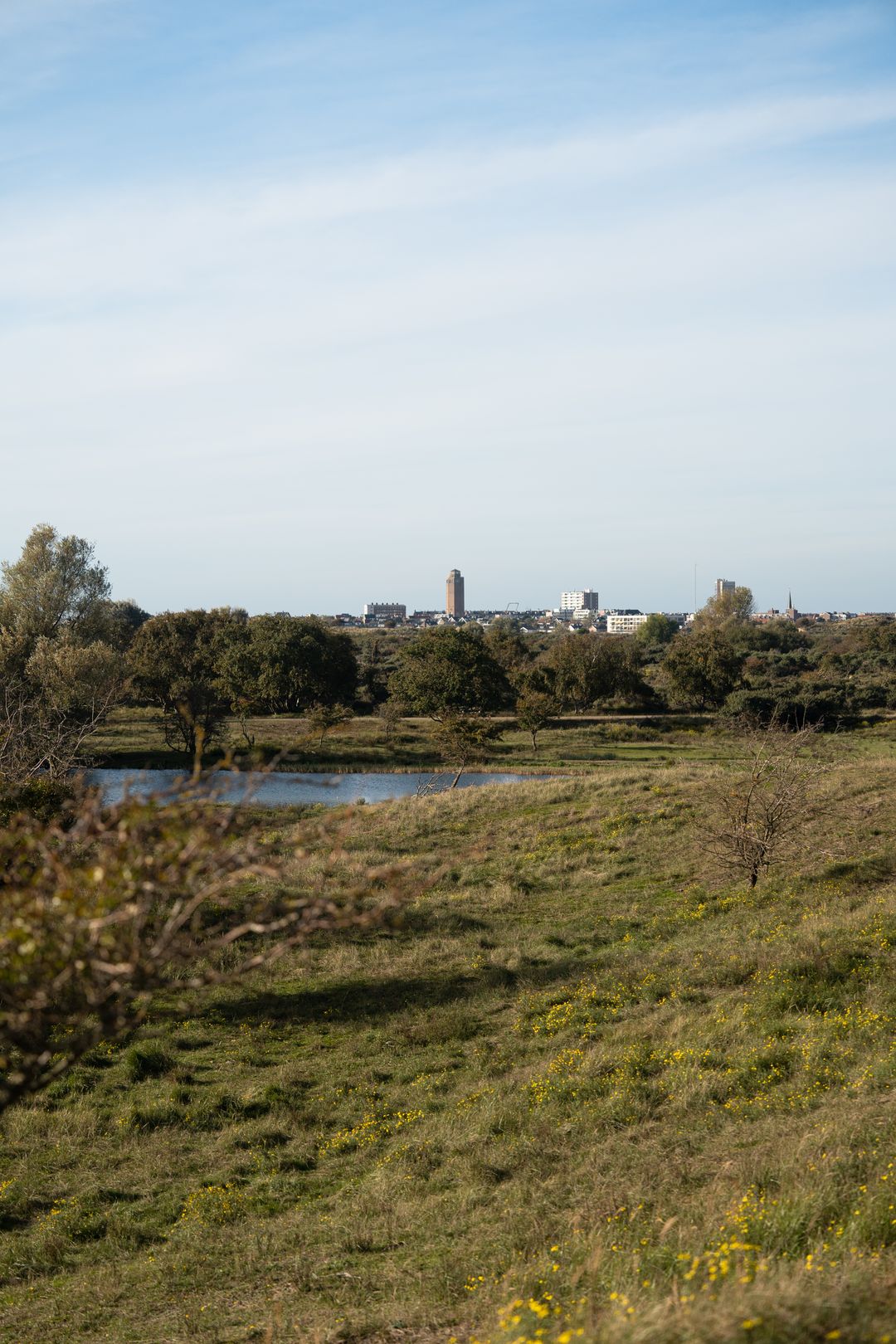 Photo 9 of De Nieuwe Watertoren
