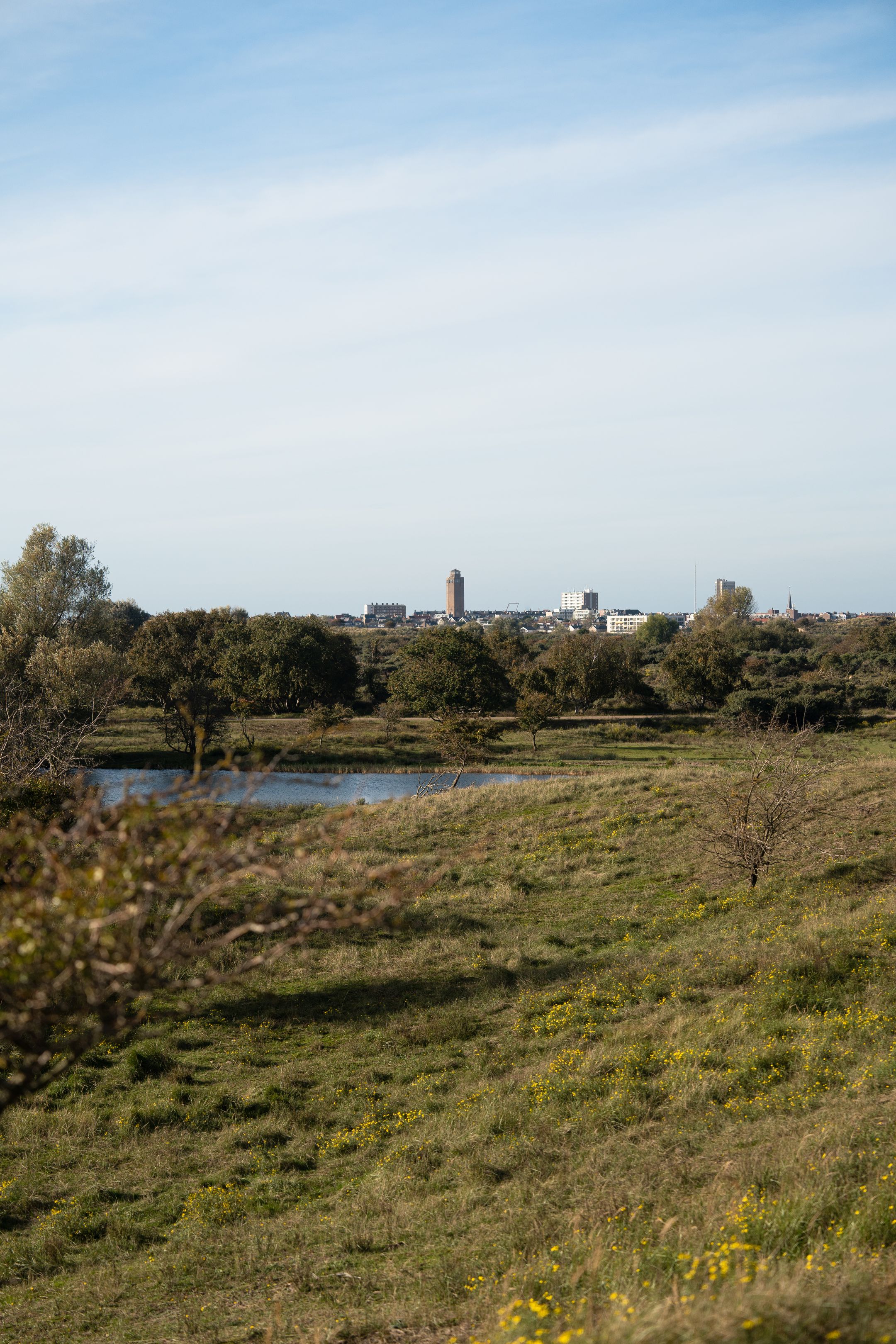 Photo 9 of De Nieuwe Watertoren