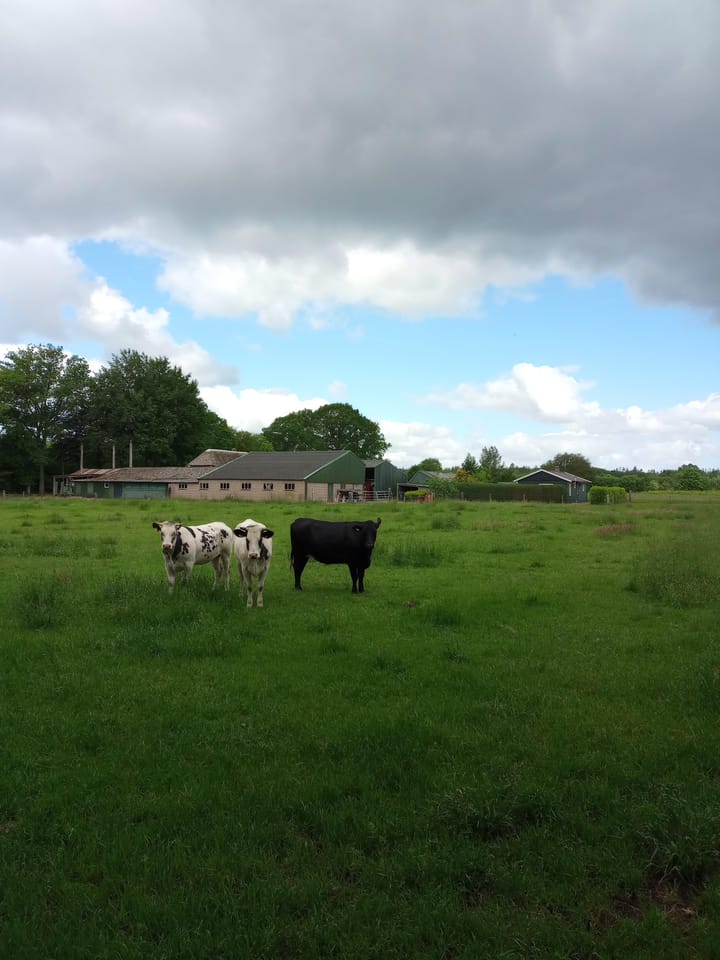 Photo 12 of Schuttersweg 1