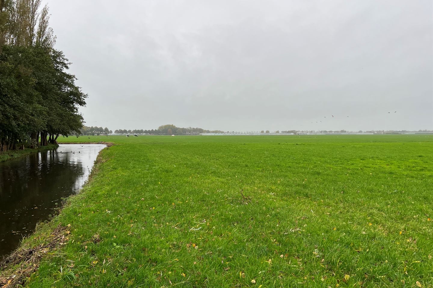 Bekijk foto 4 van Zuiderdijk