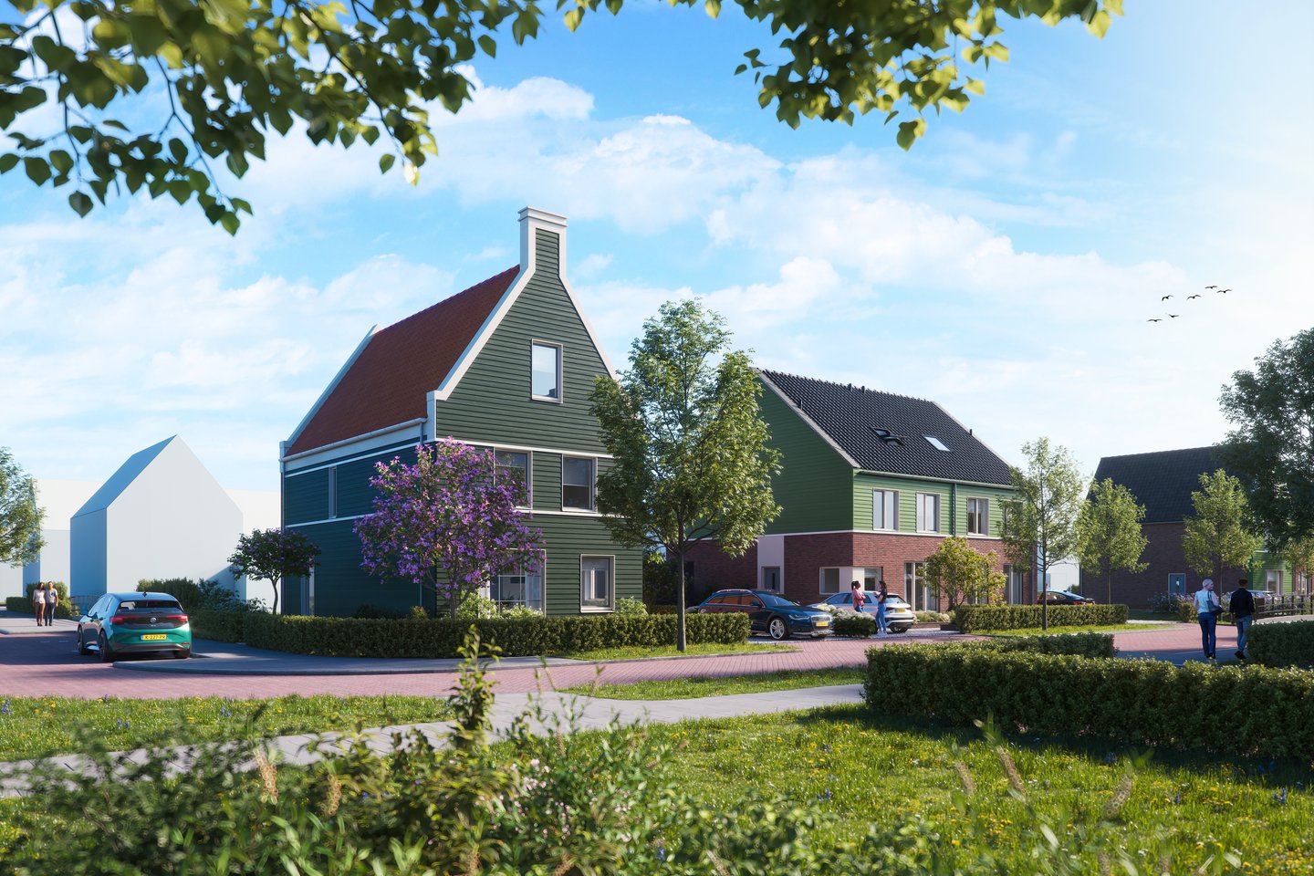 Bekijk foto 2 van Raaigras 29
