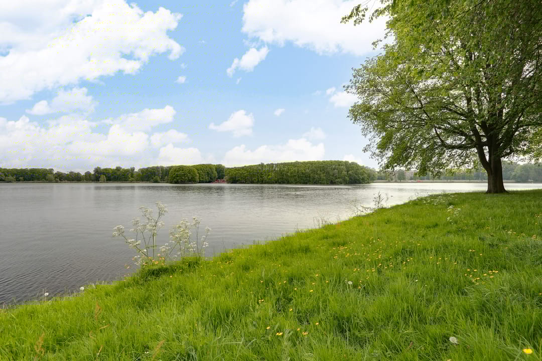 Photo 42 of Wonen in Blau