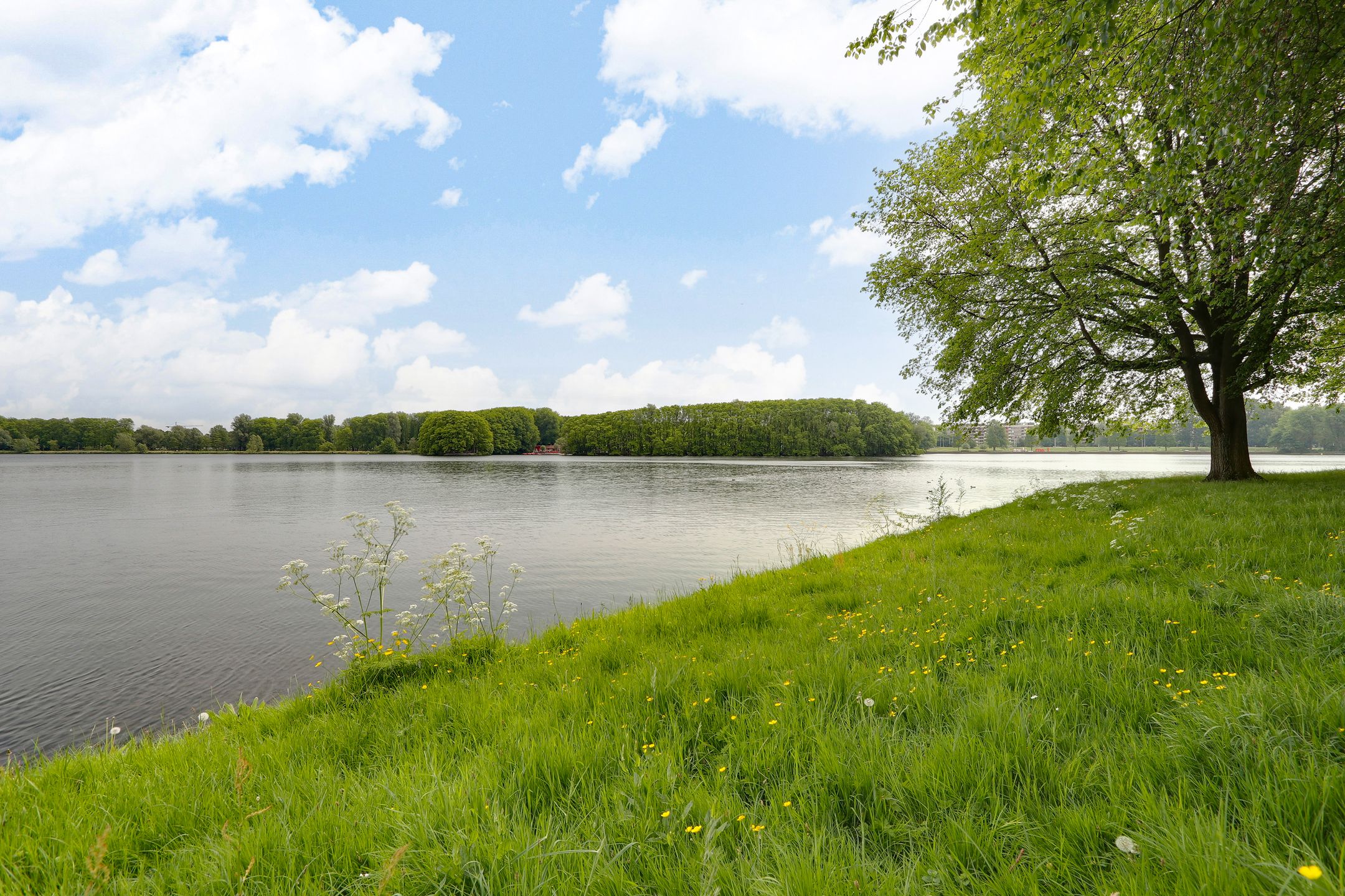 Foto 10 van Wonen in Blau