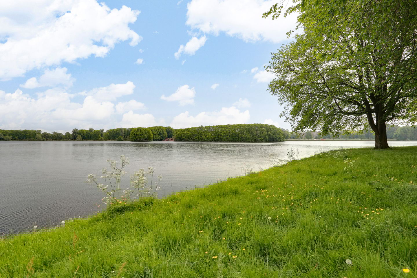 Foto 10 van Wonen in Blau