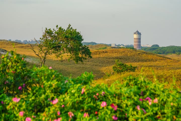 View photo 9 of Kavels Achter de Duinen fase 1 (Bouwnr. 11)