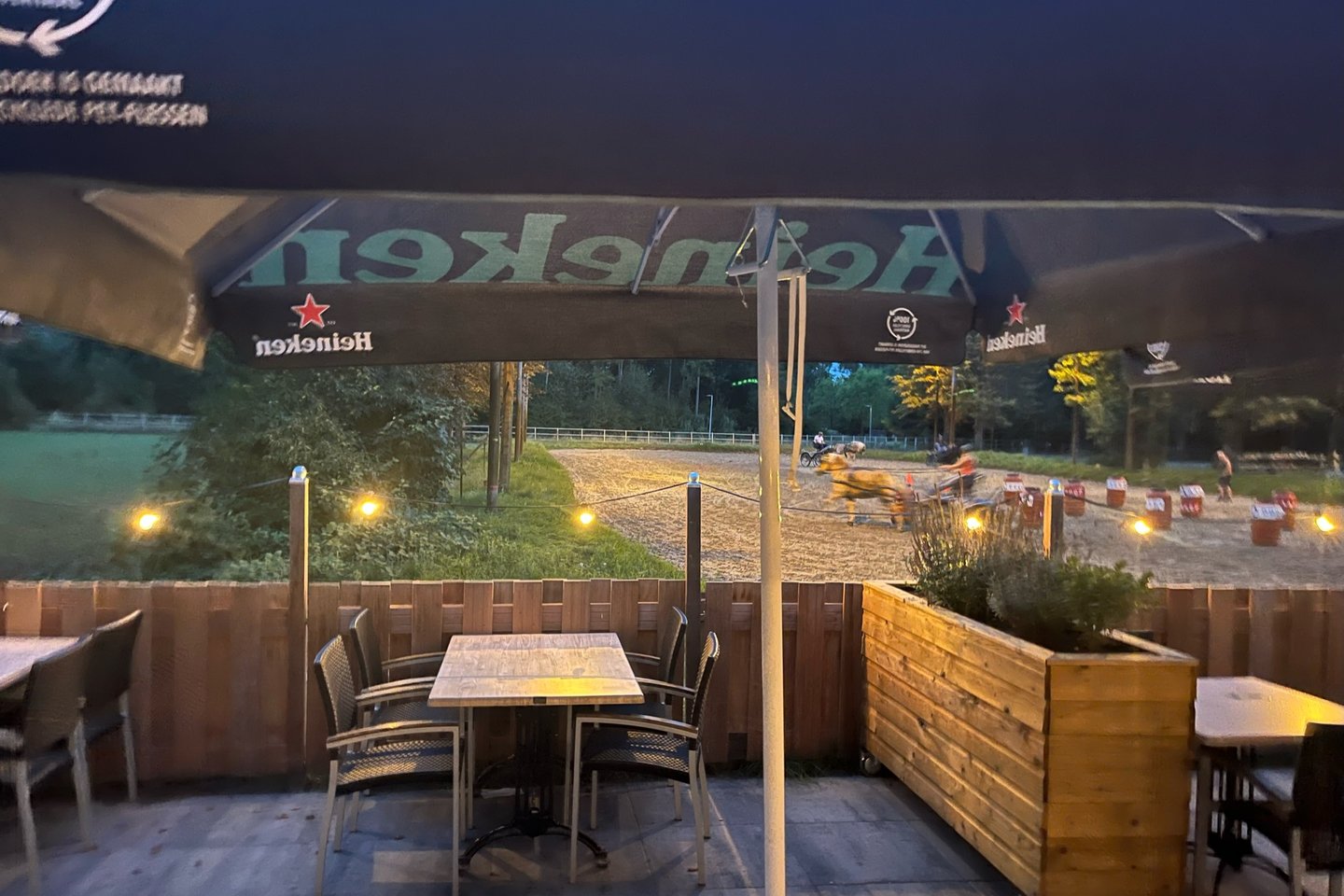 Bekijk foto 3 van Bosweg 3