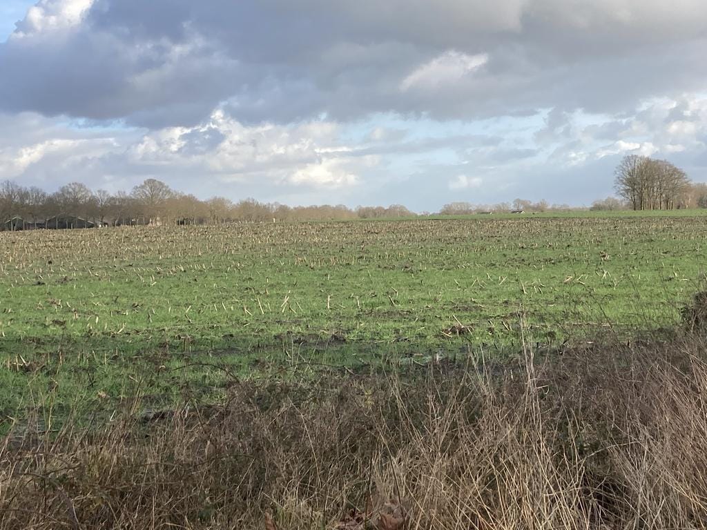 Foto 5 van Bentelosestraat