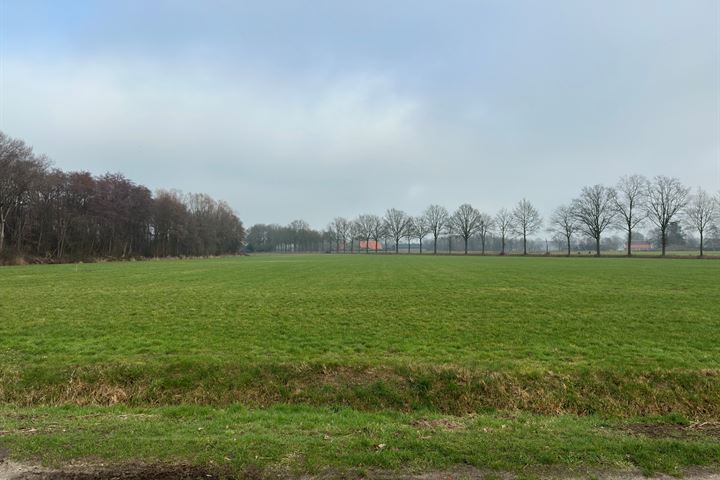 View photo 1 of W.-B.-Scheidingsweg 6