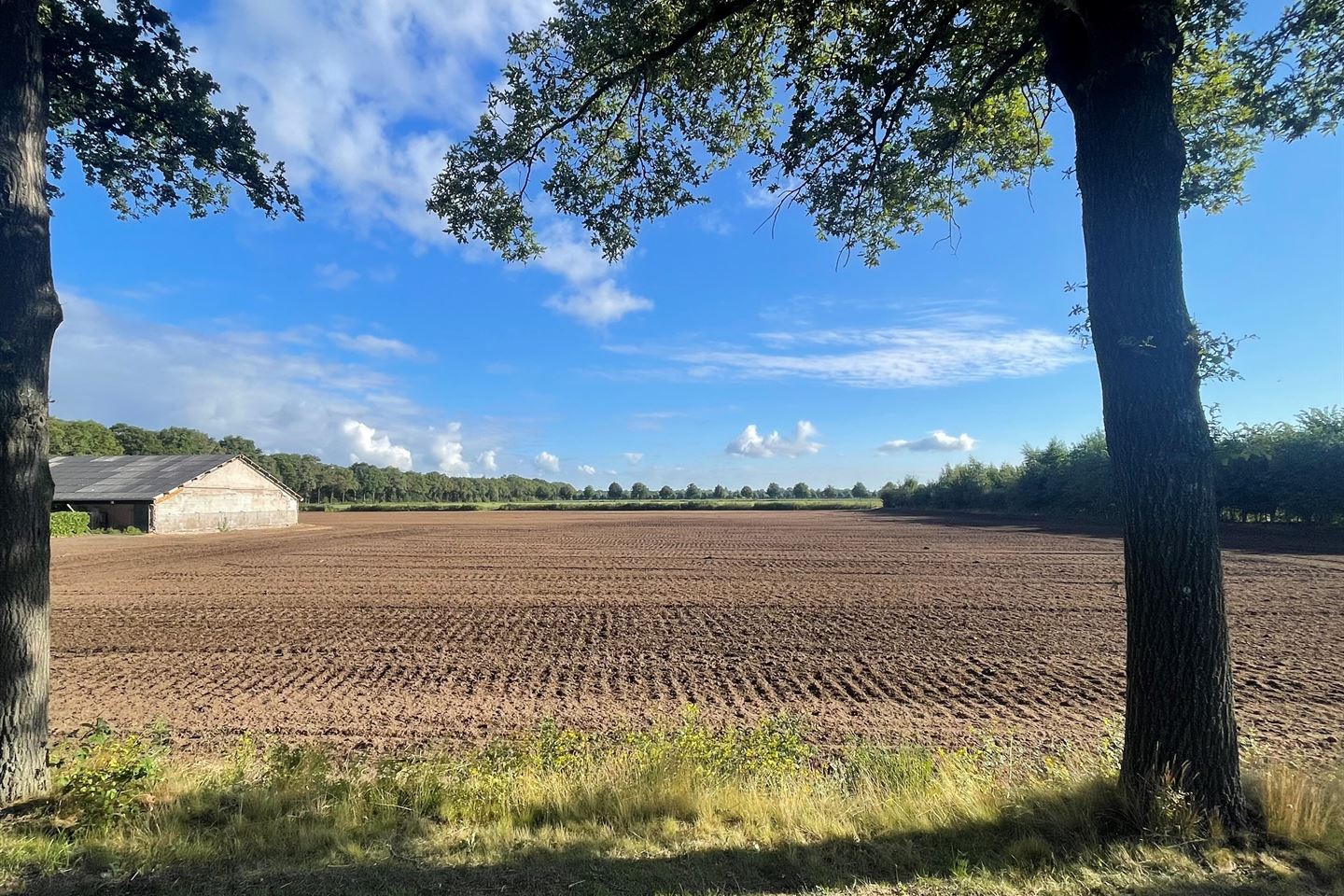 Bekijk foto 3 van Logtsebaan (nabij nr. 2)