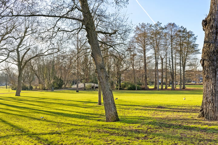 Bekijk foto 43 van Kralingse Plaslaan 30