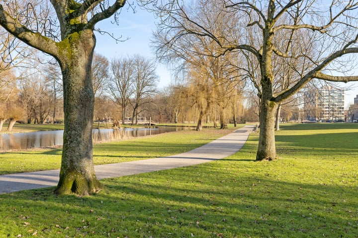 Bekijk foto 45 van Kralingse Plaslaan 30