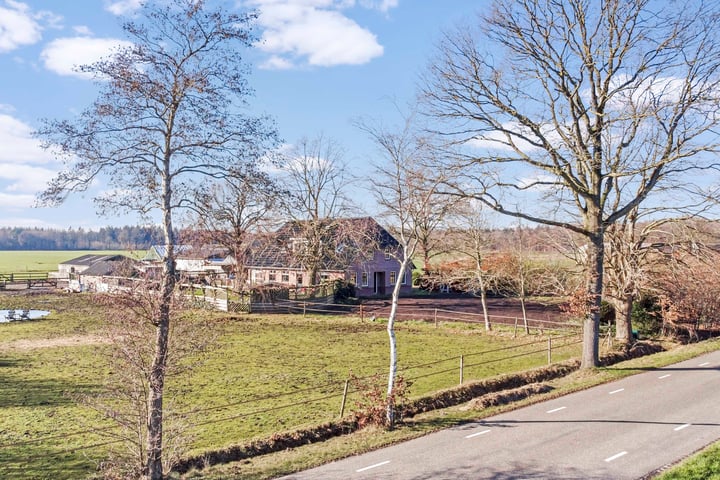 Domeinweg 11