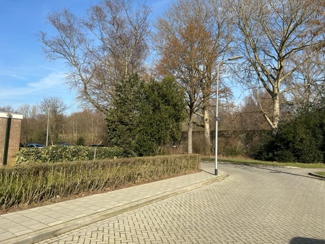 View photo 4 of Wielingenstraat 59